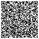 QR code with Professional Auto contacts