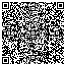 QR code with Borrego's Auto Sales contacts
