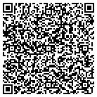 QR code with Pulse Cable & Comm Inc contacts