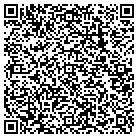 QR code with Baldwin Roofing Co Inc contacts