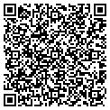 QR code with Antico contacts