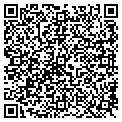 QR code with MLFA contacts