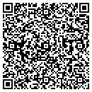 QR code with Public Works contacts