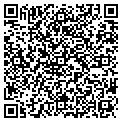QR code with Bashak contacts