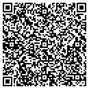 QR code with Puite Homes Inc contacts