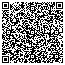 QR code with Public Storage contacts