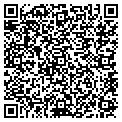 QR code with DFW Web contacts
