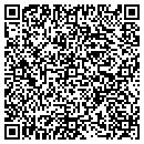 QR code with Precise Painting contacts