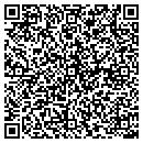 QR code with BLI Systems contacts