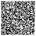 QR code with Attic contacts