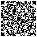QR code with Pro Tech Electronics contacts