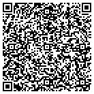 QR code with Plum Creek Primitives contacts