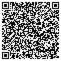 QR code with LMI contacts