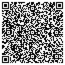QR code with Precision Dent WORX contacts