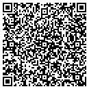 QR code with Professional Edu contacts