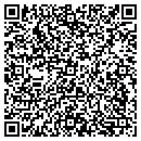 QR code with Premier Academy contacts