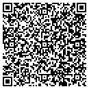 QR code with Castillo's Ice House contacts