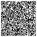 QR code with Premier Polymers Inc contacts
