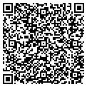 QR code with BNG Inc contacts