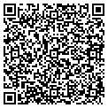 QR code with Beso contacts
