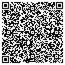 QR code with Professional Service contacts