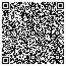 QR code with Precision Auto contacts