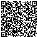 QR code with Y-Web contacts