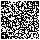QR code with Purdy EZ Pools contacts