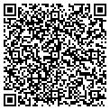 QR code with Sig-Ep contacts