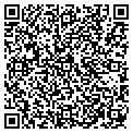 QR code with Q Tees contacts