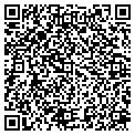 QR code with CAIRO contacts