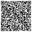 QR code with CDI Energy Services contacts
