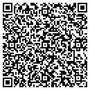 QR code with Pulaski Mortgage Co contacts