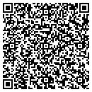 QR code with Promise Petrolum contacts