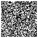 QR code with Premier Design contacts