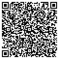 QR code with Howdys contacts