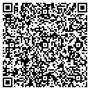 QR code with Pyramid Vending contacts