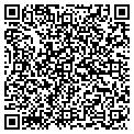 QR code with Basils contacts