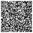 QR code with Pso Enterprises Inc contacts