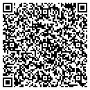 QR code with Public Storage contacts