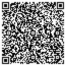 QR code with Bluewater Properties contacts