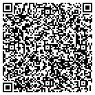 QR code with Pughs Auto Salvage contacts