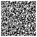 QR code with Pyramids Network contacts