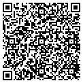 QR code with IBEW contacts