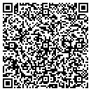 QR code with Pro Siding & Windows contacts