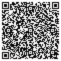 QR code with P A M contacts