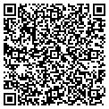 QR code with Amscan contacts