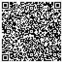 QR code with Color Spaces Murals contacts