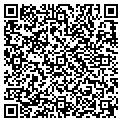 QR code with Buckle contacts
