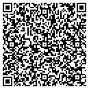 QR code with Purkinje Inc contacts
